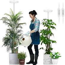 LORDEM تنمو ضوء، 7.9 "الطيف الكامل LED، ارتفاع قابل للتعديل، السيارات الموقت 4 H/8 H/12 H، 6 مستويات عكس الضوء، مثالية للنباتات الطويلة الكبيرة، 2 حزم