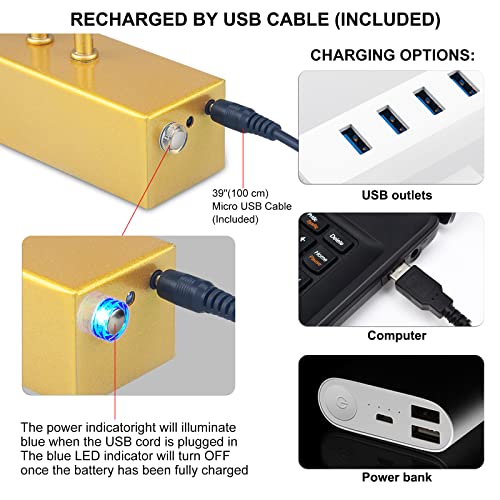 Image of RAIFOOLLY Picture Light,5000mAh Rechargeabl Art Lights for Paintings,Remote 16 inch Display Accent Lighting with Timer and Dimmable for Wall,Frame,Portrait-Gold