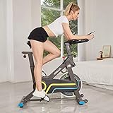 ANCHEER Bicicleta Spinning E-14320, Bicicleta Spinning Indoor Volante magnetrón, App Conexión, Resistencia y Altura Ajustable, Soporte de Codo, para Ejercicio Aerobico en Casa Color Gris