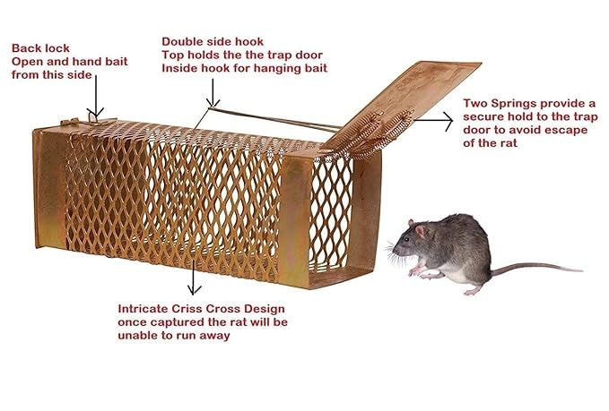 Image of Livshine Rat /Mouse /Rodent Small Trap Cage Rustic Copper (Diamond Trap Medium, 2)