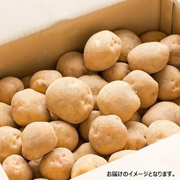 Amazon.co.jp: 北海道産 訳あり じゃがいも 10kg (品種お任せ