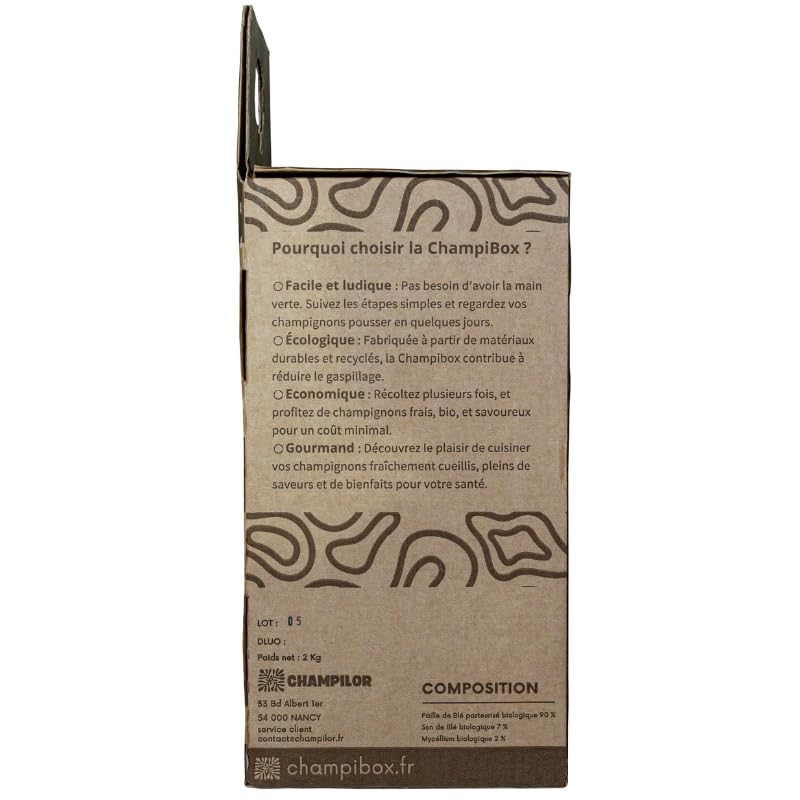 Kit de Culture de Champignons Pleurotes Gris Champibox™ (Pleurotus ostreatus) - Pleurotes Made in France - Gourmand et Éducatif - Idée Cadeau Originale et Naturelle pour Tous - Facile à Utiliser