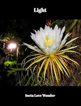 Hardcover Light Book