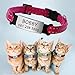 Didog - Collar para gatos con placa de acero inoxidable personalizable, reflectante,...