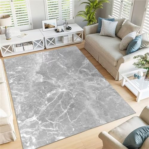 Tapis de salon poils courts lavable pour simplifier l'entretien