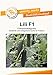Produktbild Gurkensamen Lili F1 Freilandgurke Portion