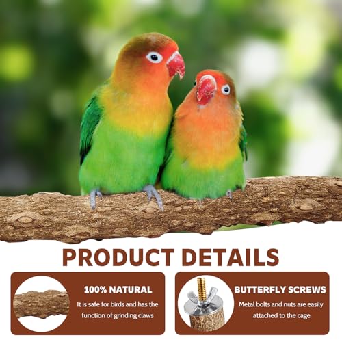 Image of 4PCS Bird Perch Natural Wooden Parrot Stand, 2 Grape Wood Perch, 2 Stand, Paw Grinding Fork Parakeet Chewing Stick Exercise Training Branches for Cockatiels, Small Birds