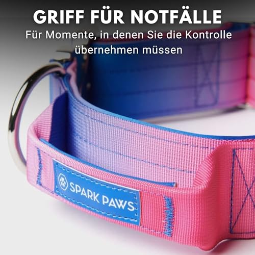 Spark Paws Taktisches Hundehalsband – Robuste, Premium-Qualität, Dick und Langlebig für Große und Mittelgroße Hunde M: 23-39kg [3.8cm]
