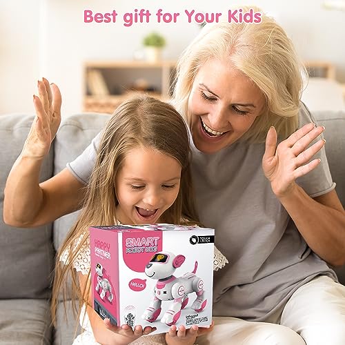 AI Smart Pet Companion Robot