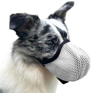 Diketone Maulkorb für Große Hunde d01