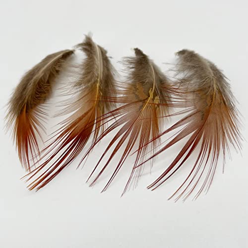 100Pcs Small Natural Feathers For Craft Dream Catchers (Red Tip Golden Pheasant Feather) #TOP4