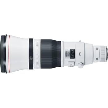 Canon キャノン EF 600mm f/4 L IS USM トランク付き EF600mm F4L IS USM - キヤノンカメラミュージアム