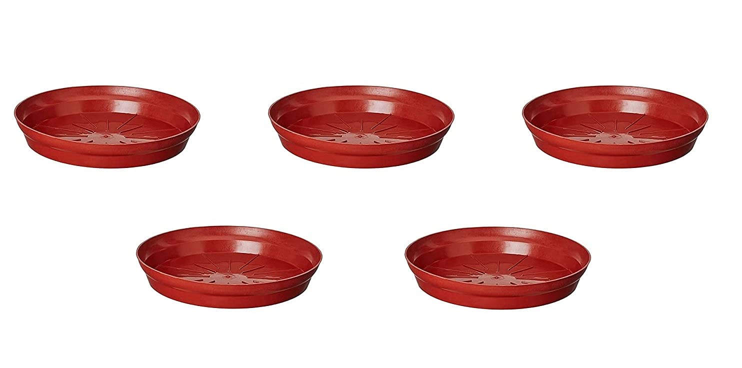 Plastic Pot Saucer, Base Plate Planter Tray, 10-inch (Brown) - Set of 5 (B08DJ58ZX8) Amazon Price History, Amazon Price Tracker