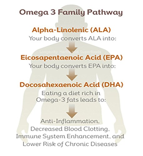 Marine Phytoplankton Powder Capsules Raw Omega 3 Epa Vegan Atp Energy Superfood (180 Vegan Capsules) #TOP2