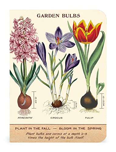 Image of Cavallini & Co. Gardening Mini Notebook Set 4 inch x 5.5 inch (10cm x 14cm)