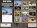 Elk Calendar 2026 Monthly Wall Calender 12 Month | American Made In The USA