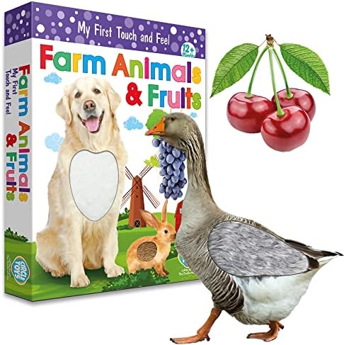 My Touch and Feel English Spanish Bilingual Picture Double Sided Sensory Flash Cards for Infant, Toddlers, Kids, Learn Animals, Fruits, and Vehicles, Fun Learning and Educational Flashcards