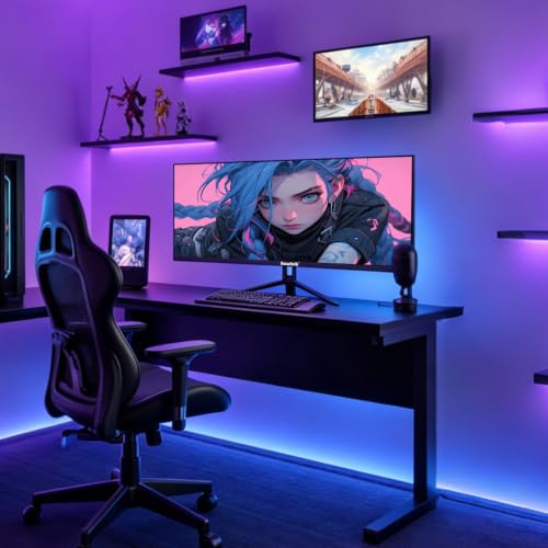HDR reference monitor Long Range product image
