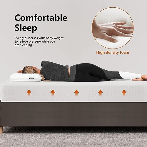 Image of PayLessHere | 10 Inch Queen Mattress | Medium Firm Base Foam Mattress