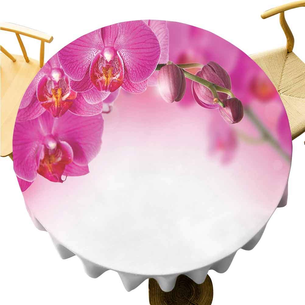Zara Henry Spa Tablecloth Blossoming Orchid Branch Exotic Nature with Feng Shui Elements Spa Zen Garden Botany Outdoor Tablecloth 54 Inch Round Multicolor