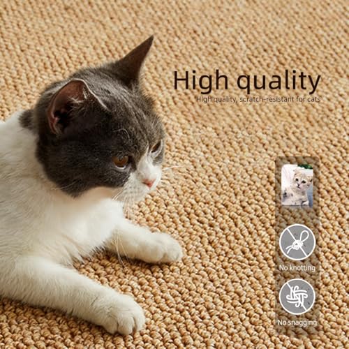 Tapis résistant et anti-rayures lavable en machine pour chambre et salon - 6