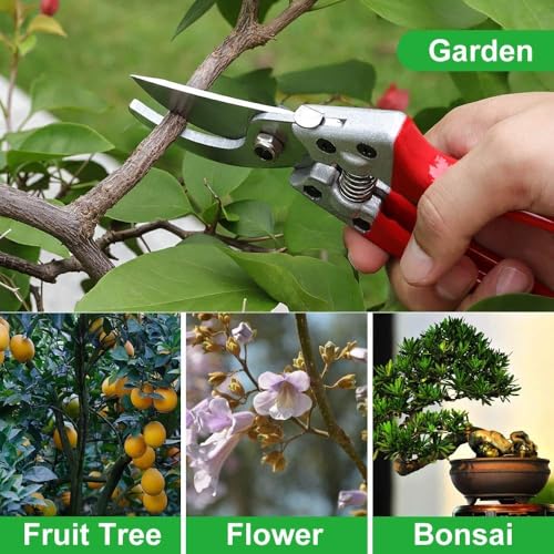 Image of Professional Garden Pruning Shears, Spring-Loaded Secateurs with Steel Blade, Red Comfort Grip Handles, 20.5 cm