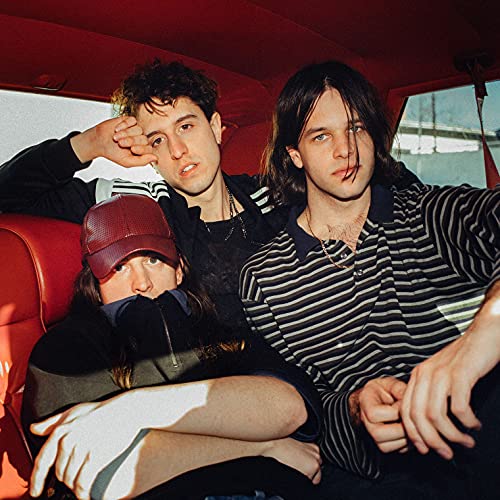 Beach Fossils