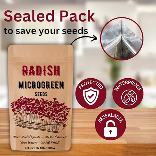 Image of Navika Seeds Radish Microgreen Seeds (100g) for Hydroponic, Soil & Tray Growing | Fast Germination | High Yield | Non-GMO Methi Microgreens Seeds | Free Growing Guide Included |100 Gram Packet