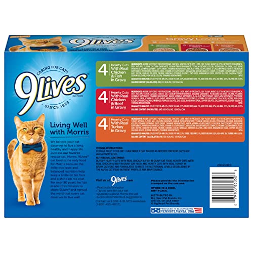 9Lives Gravy Favorites Wet Cat Food Variety Pack, 5.5 Ounce (Pack Of 12) #TOP2