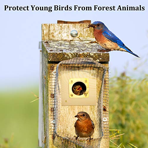 2 Pieces Bird House Replacement Guard Bird House Copper Portal For Eastern Bluebird Houses 1 1/2 Inch Opening #TOP3