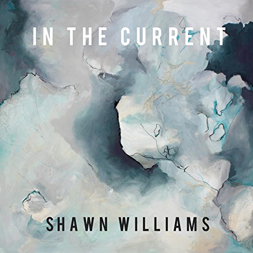In the Current (Extended Version) Shawn Williams Digital