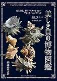美しき貝の博物図鑑 ー色と模様、形のバリエーション/フリーク/ハイブリッド