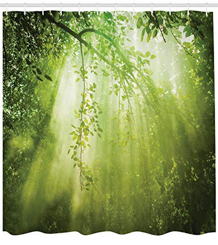 ABAKUHAUS Forest Shower Curtain, Rays of Sun Deep Dark in the Forest in Foliage with Effects Scenic Image Print - Image 2
