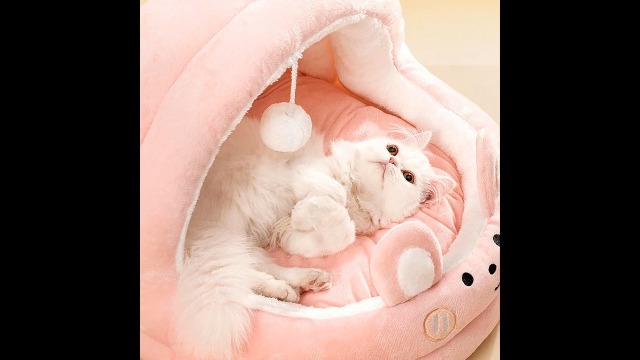 ベッド・クッション・ハウス The Original Cat's Trapeze :: 3-pillow Watch Cat Bed for Indoor Cats on Amazon Live