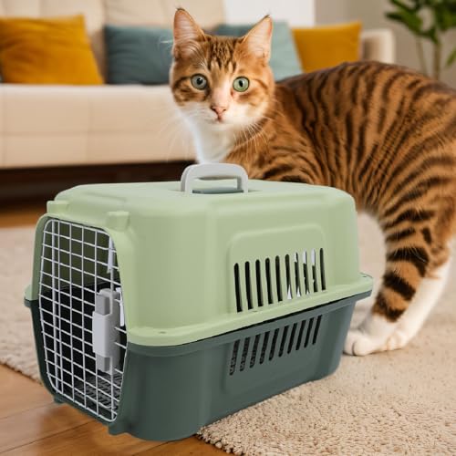 Dilwe Tragbare Transportbox für Haustiere mit Großer Kapazität für Hunde, Katzen, von Fluggesellschaften Zugelassene Transportbox für Bequemes Reisen – Bild 6