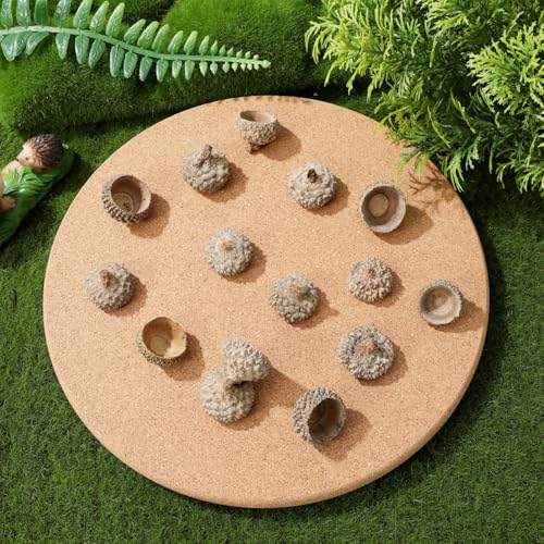 50 Piezas Cáscaras Naturales de Bellota para Manualidades miniatura 2