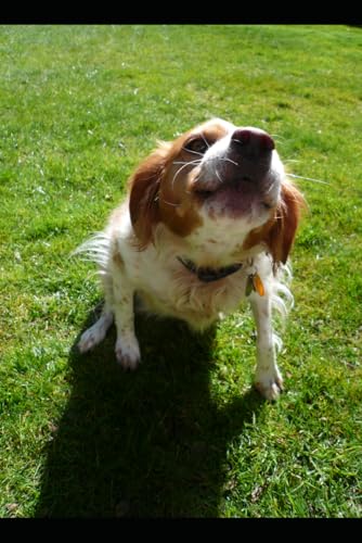 pet symptom tracker journal