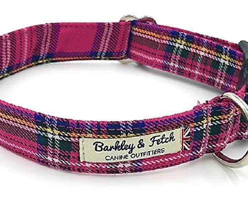 collar dog collar