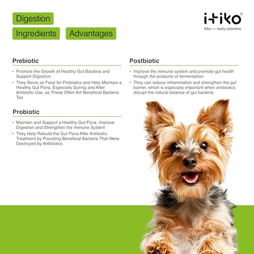 ITIKO Natürliche Verdauungs für Hunde | Flohsamenschalen mit Probiotika Hund | Darmflora Aufbau Hund | Alternative zu Heilerde/Heilmoor für Hunde | Durchfall Nahrungsergänzungsmittel