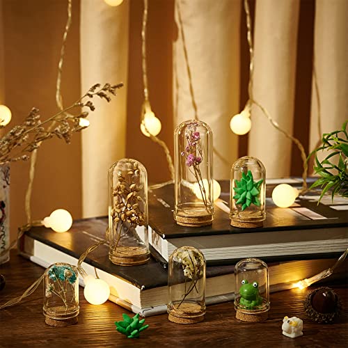Image of BENECREAT 24 Pack Glass Jars Bottles 3 Mixed Size Dome Cloche Cover Decoration Bottles with Cork Stoppers for Party Favors, Arts and Small Projects