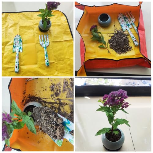 Set de Jardinería 4 Piezas ACEREZA miniatura 6