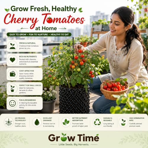Image of Cherry Tomato Vegetable Seeds, Vegetable Seeds for Home Gardening, Vegetable Planting Seeds for Kitchen, Cherry Tomato Seeds (Cherry, Pack of 1g)