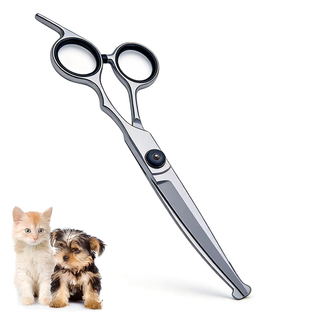 Ciseaux De Toilettage Professionnels Pour Chiens Et Chats En Acier Inoxydable, Avec Embouts De Sécurité Ronds, Ciseaux Incurvés, Idéal Pour Visage, Pattes, Corps, Coiffure Animal (Noir)