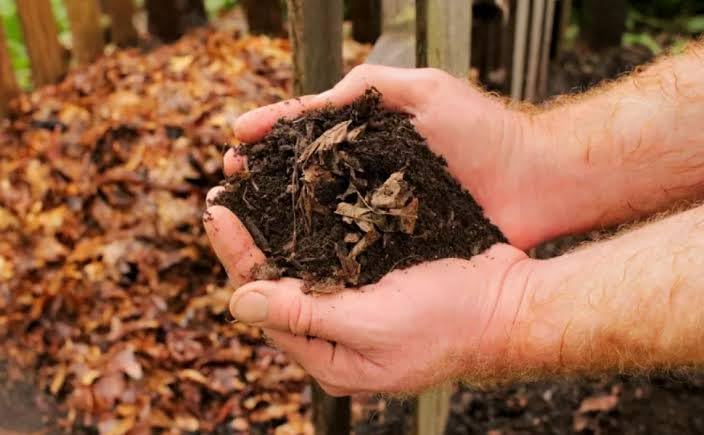 Mezcla de abono orgánico de jardín premium, mezcla de marrón, hojas y tierra, fertilizante natural para plantas y verduras al aire libre