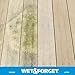 Wet & Forget Outdoor Moss, Mold, Mildew, & Algae Stain Remover Multi-Surface Cleaner, Ready to Use, 64 Fluid Ounces, 4 Pack