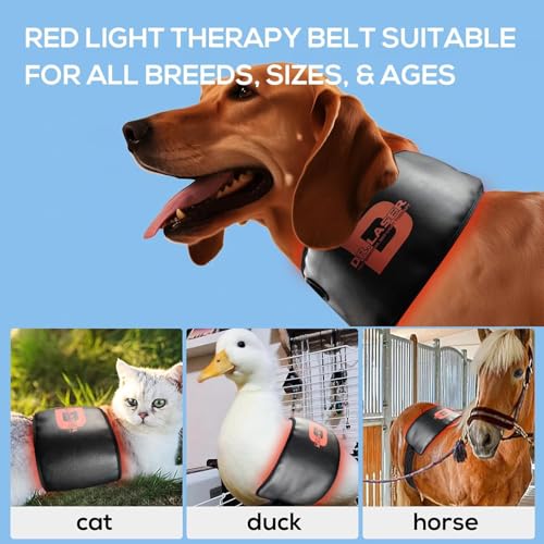 Image of Red Light Therapy Belt for Pets, Portable Red Light Therapy for Dogs,Wearable Red Infrared Light Therapy Devices for Dogs Tissue Repair, Joint & Back Pain