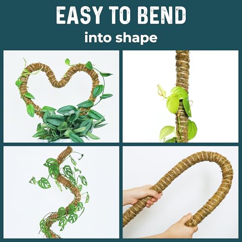 image for K-Brands 2 Pack 42'' Bendable Moss Pole Monstera Plant Support - Real 