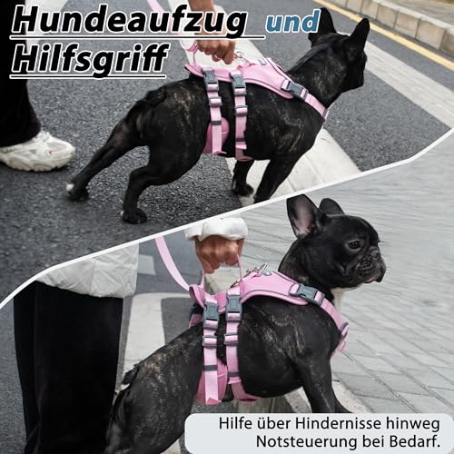 Wuffley Hundegeschirr mit Leine, Sicherheitsgeschirr Hund Ausbruchsicher, Anti Zug Hundegeschirr mit Assistenzgriff und Reflektierende, Leichtes Verstellbare Geschirr für Mittelgroße Hunde (Rosa,XS)