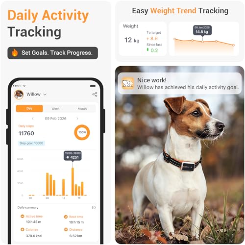 PAWFIT 2 - Track Your Dog’s Location