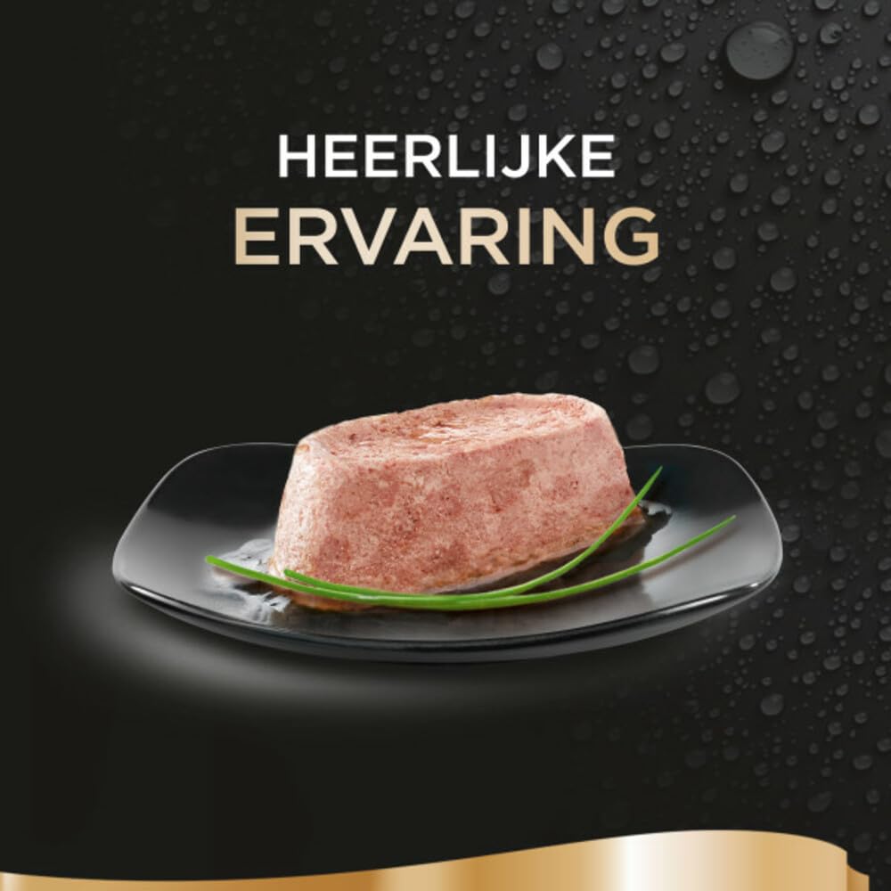 Sheba idealne porcje tacki karma dla dorosłych kotów Deluxe Terrine z łososiem 6x37,5g